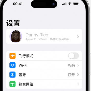 政和appleID维修服务iPhone设置中Apple ID显示为灰色无法使用