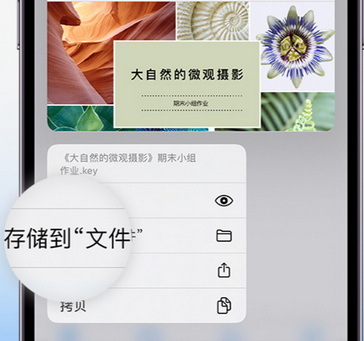 政和apple维修中心分享iPhone文件应用中存储和找到下载文件