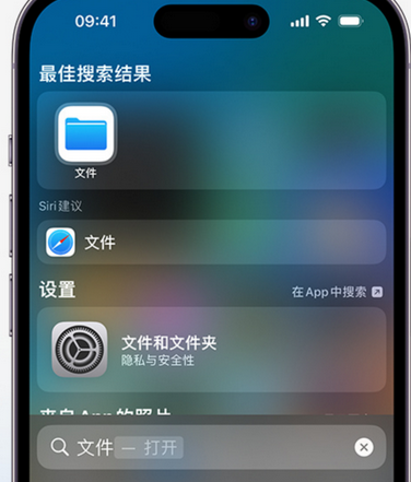 政和apple维修中心分享iPhone文件应用中存储和找到下载文件 