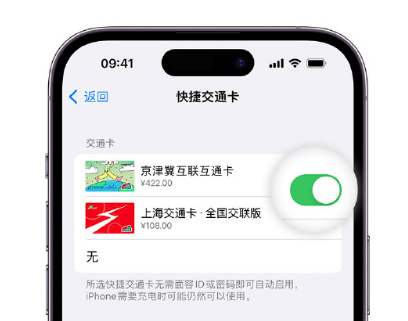 政和apple维修点分享iPhone上更换Apple Pay快捷交通卡手绘卡面 