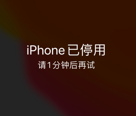 政和苹果手机维修分享:iPhone 显示“不可用”或“已停用”怎么办？还能保留数据吗？ 