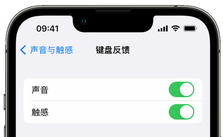 政和苹果手机维修分享iPhone 14触感键盘使用方法 