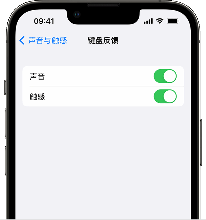 政和苹果14维修店分享如何在 iPhone 14 机型中使用触感键盘 