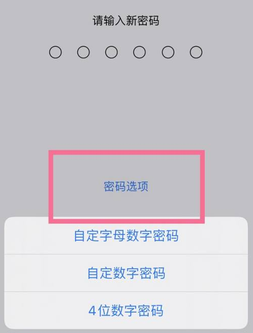 政和苹果14维修分享iPhone 14plus设置密码的方法 