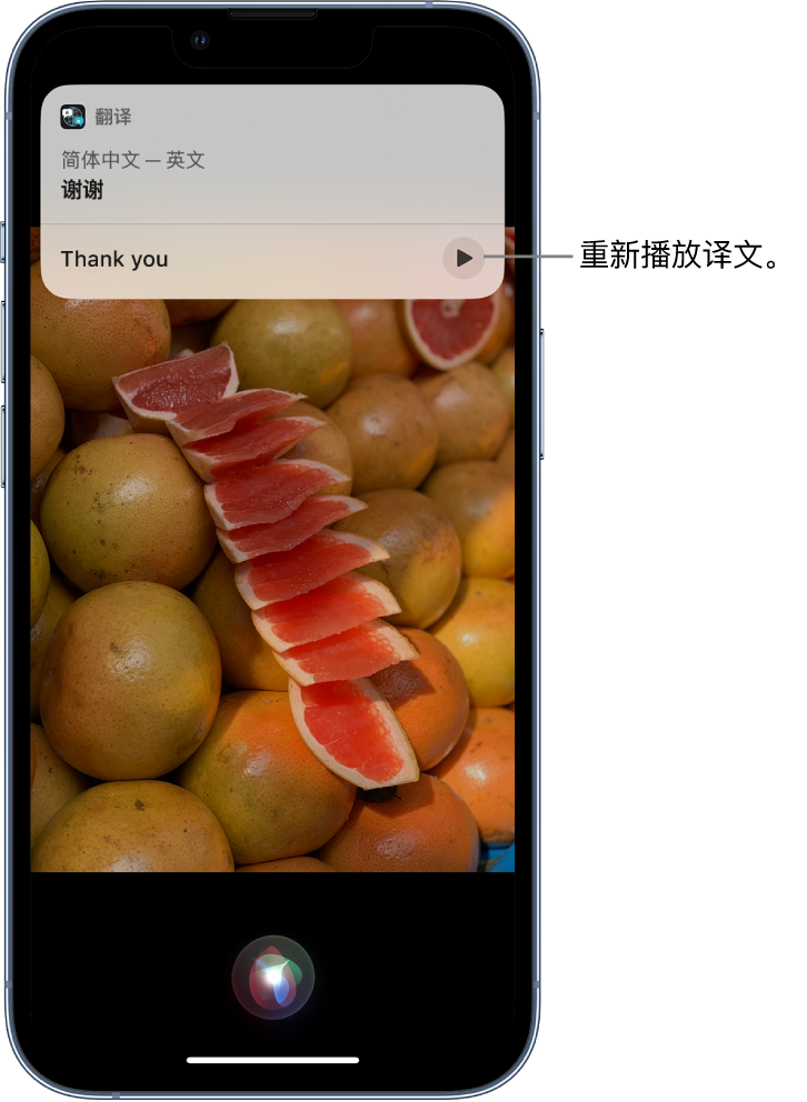 政和苹果14维修分享 iPhone 14 机型中使用 Siri：了解 Siri 能帮你做什么 