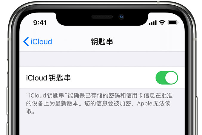 政和苹果手机维修分享在 iPhone 上开启 iCloud 钥匙串之后会储存哪些信息 